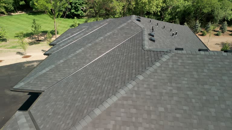 Best Roof Ventilation Installation  in Oak Leaf, TX